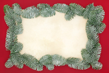Image showing Christmas Spruce Fir Background Border