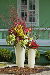 Image showing Pots of flowers