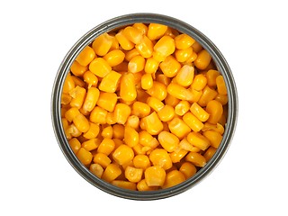 Image showing Canned corn on white