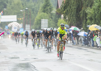 Image showing The Peloton Riding in the Rain - Tour de France 2014