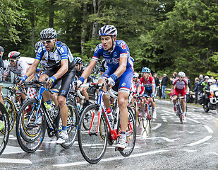 Image showing The Peloton in Full Effort