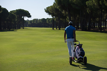 Image showing golf player walking with wheel bag