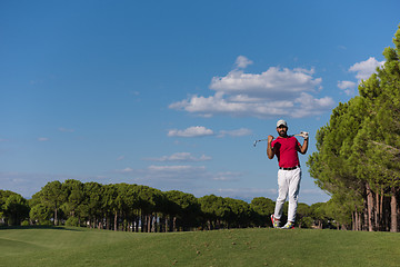 Image showing golf player hitting long shot