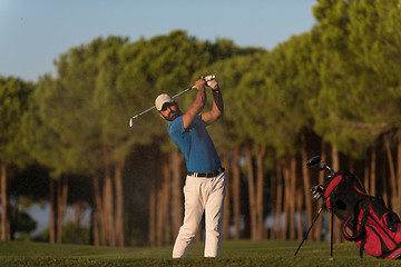 Image showing golfer hitting a sand bunker shot on sunset