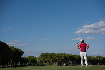 Image showing handsome middle eastern golf player portrait at course