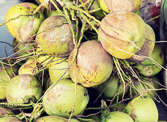 Image showing water coconuts bunch