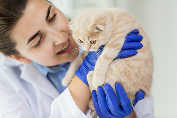 Image showing close up of vet with scottish kitten at clinic