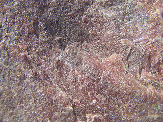 Image showing Pink granite