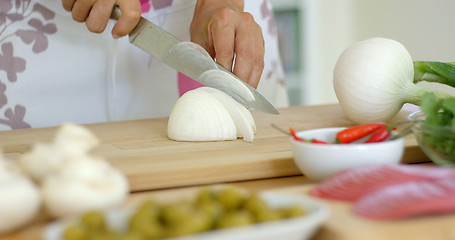 Image showing Close up on hands Cutting fresh onion