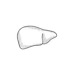 Image showing Liver sketch icon.