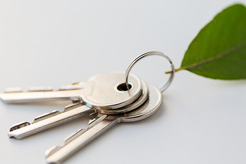 Image showing close up of house keys and green leaf