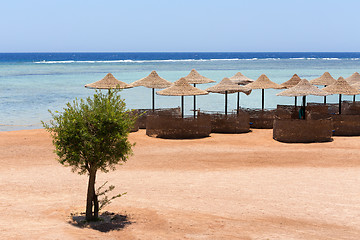 Image showing Beach umbrellas and blue sky background