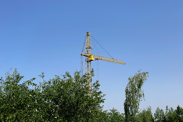 Image showing Construction crane and trees