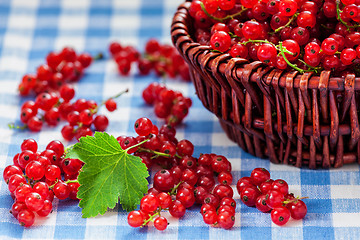 Image showing Redcurrant in wicker bowl on the table