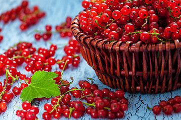 Image showing Redcurrant in wicker bowl on the table