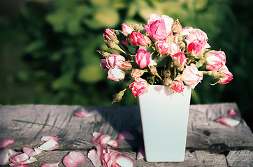 Image showing Bouquet of roses in the evening sun ray