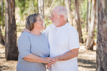 Image showing Happy Senior Couple Portrait Outdoors