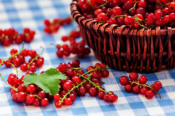 Image showing Redcurrant in wicker bowl on the table