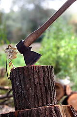 Image showing Axe in oak stump