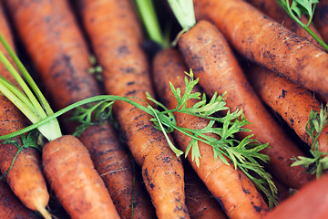 Image showing close up of carrot