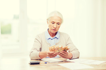 Image showing senior woman with money and papers at home