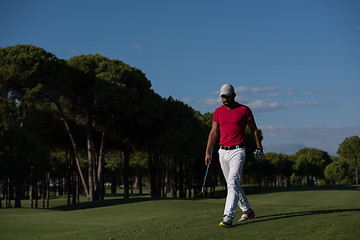 Image showing golf player walking and carrying driver