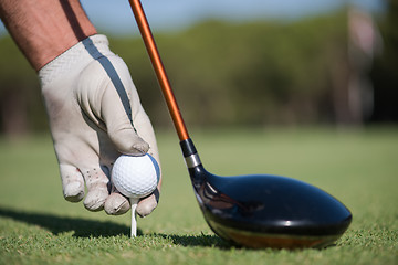 Image showing golf player placing ball on tee