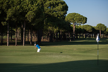 Image showing pro golfer hitting a sand bunker shot