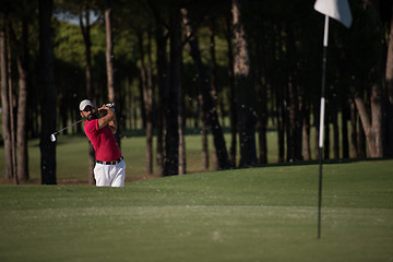 Image showing golfer hitting a sand bunker shot