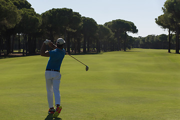 Image showing golf player hitting shot