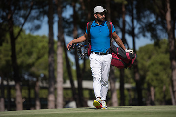 Image showing golf player walking and carrying bag