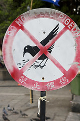 Image showing Do not feed the pigeons