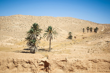 Image showing Matmata desert