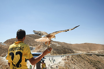 Image showing Tunisian man holding hawk