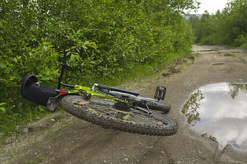 Image showing Bicycling