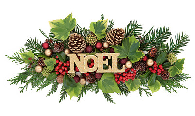 Image showing Winter Flora and Noel Decoration