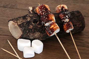 Image showing Marshmallow Toasting Session