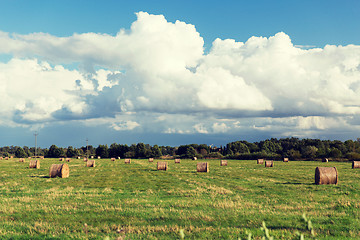 Image showing haystacks or hay rolls on summer field