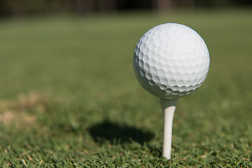 Image showing golf ball on tee