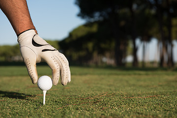 Image showing close up of golf players hand placing ball on tee