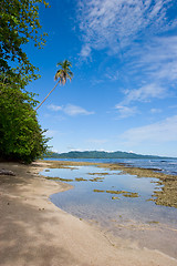 Image showing Tropical Beach