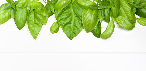 Image showing Frame of Basil Leafs
