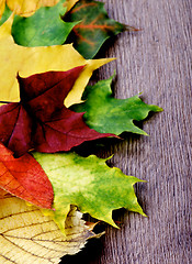 Image showing Border of Maple Leafs