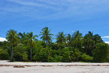 Image showing Tropical View