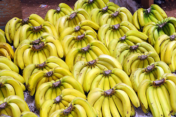 Image showing Bananas