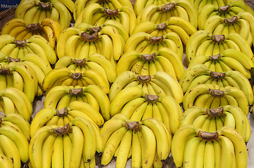 Image showing Bananas