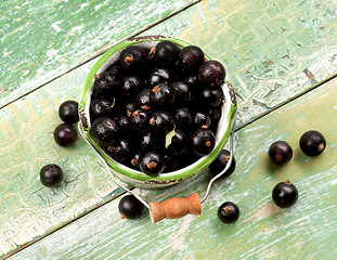 Image showing Fresh Berries of Blackcurrant