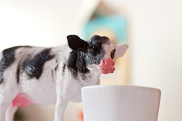 Image showing Miniature cow