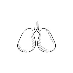 Image showing Lungs sketch icon.