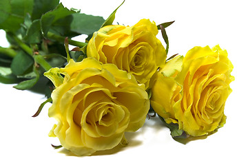 Image showing three yellow roses